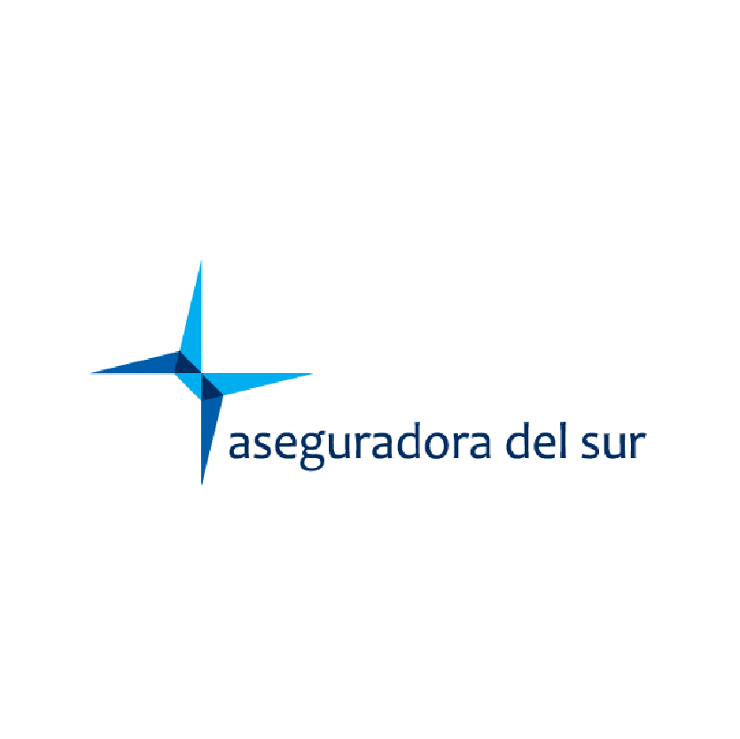 Aseguradora del sur_Mesa de trabajo 1 copia